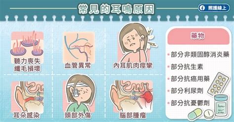 右耳耳鳴代表什麼|耳鳴是耳朵聽到持續而高頻的聲音，4大類原因報你知…